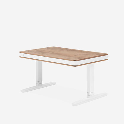 MOLL BUREAU ASSIS DEBOUT