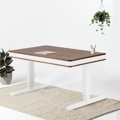 MOLL BUREAU ASSIS DEBOUT